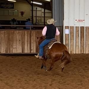 Meet your Posher, Franklin